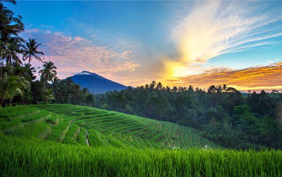 Willkommen in Indonesien