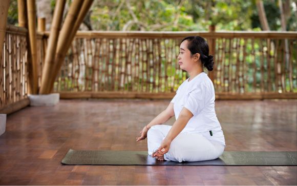 Dinara Ubud 4*