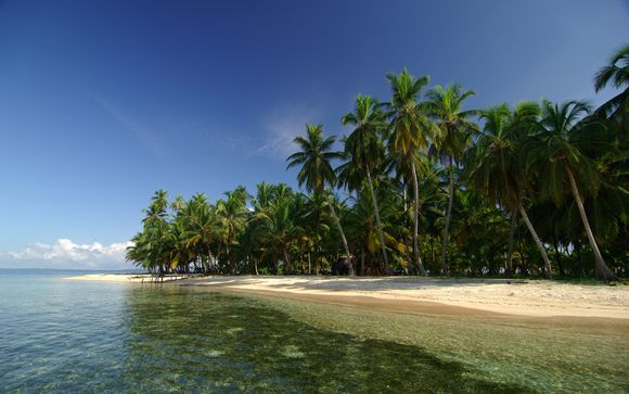 Ausflug zur Dolphin Bay, Coral Cay und Zapatilla Cay mit Transfer