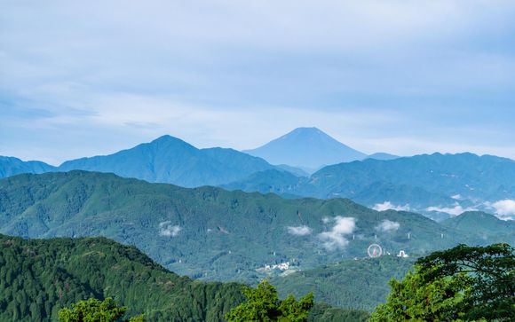Ihre Ausflugsoptionen