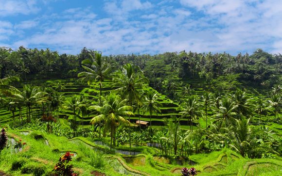 Willkommen in Indonesien