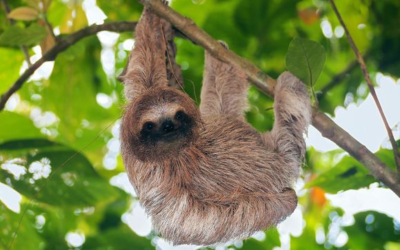 Willkommen in... Costa Rica und Panama!