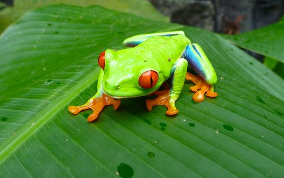 Ihre Rundreise im Detail