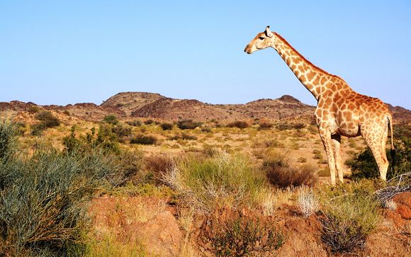 Willkommen in... Südafrika!