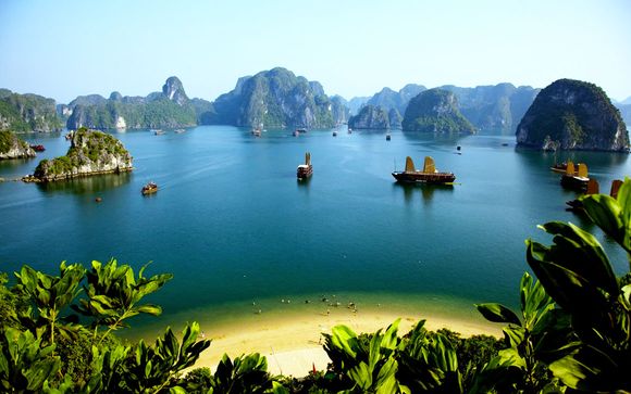 Ihre Optionen in Vietnam