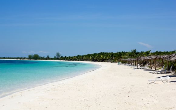 Mettez une option sur l