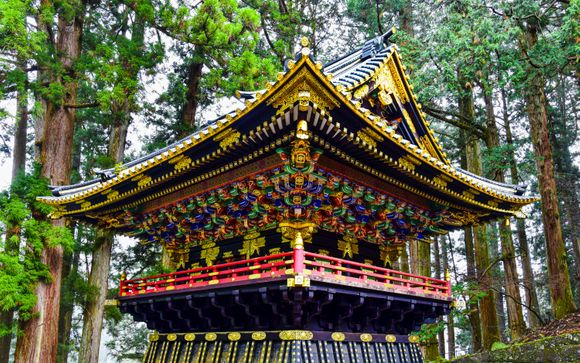 Kies voor een extra optie 