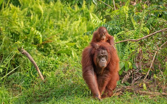 Votre circuit en un clin d’œil