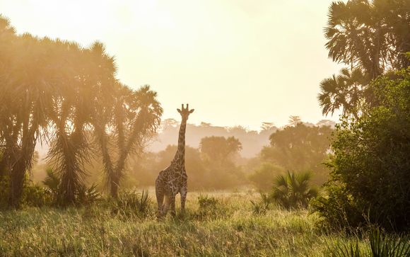Rendez-vous... en Tanzanie