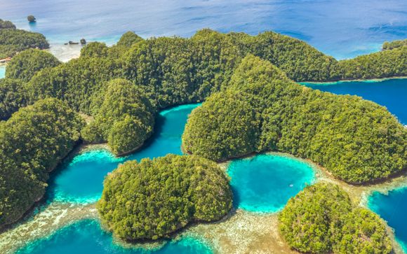 Mettez une option sur l