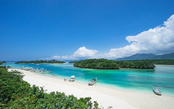 Zoom sur votre programme