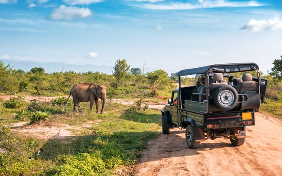 Zoom sur votre programme