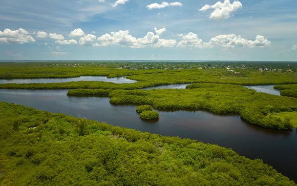 Mettez une option sur l