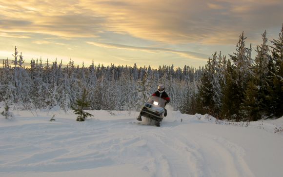 Mettez une option sur l