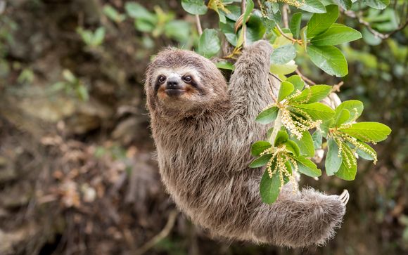 Zoom sur votre programme