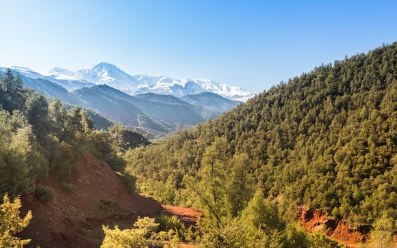Inbegrepen excursies (afhankelijk van de verblijfsduur)