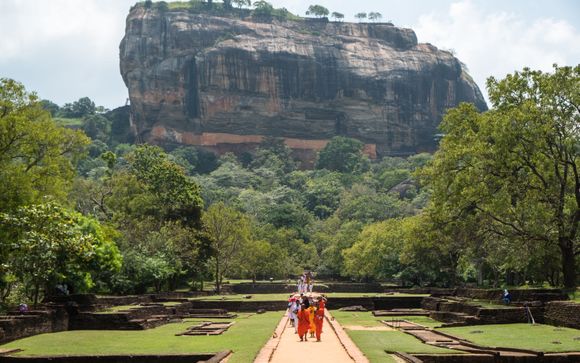 Zoom sur votre programme