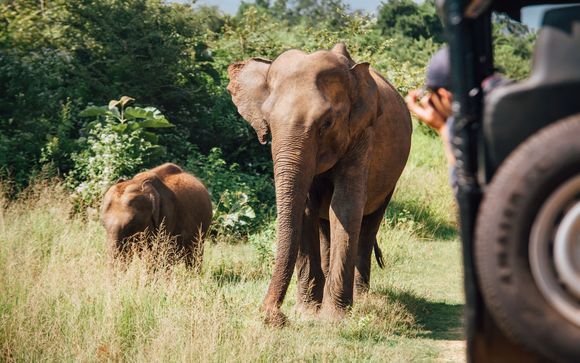 Mettez une option sur l