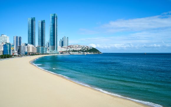 Zoom sur votre programme