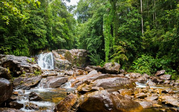 Mettez une option sur l