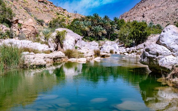 Zoom sur votre programme