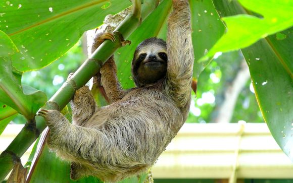 Zoom sur votre programme