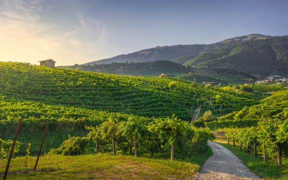 Vos avantages inclus