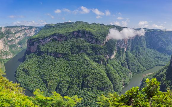 Zoom sur votre programme