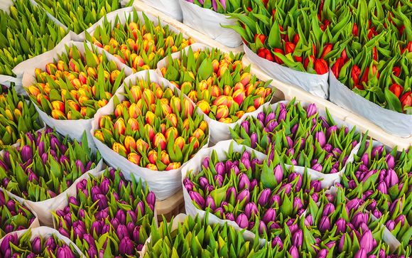  Pour aller plus loin 