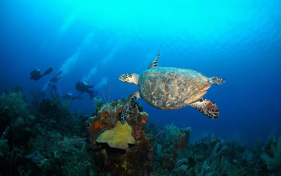 Pour aller plus loin 