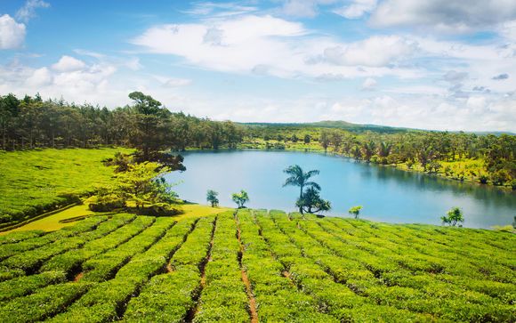 Pour aller plus loin 