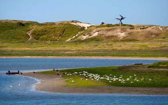 Bienvenue à... Knokke !