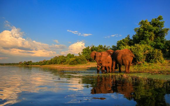 Welkom in... het Krugerpark!