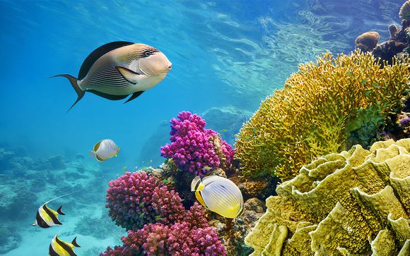 Pour aller plus loin 