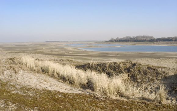 Welkom in ... Zeebrugge!