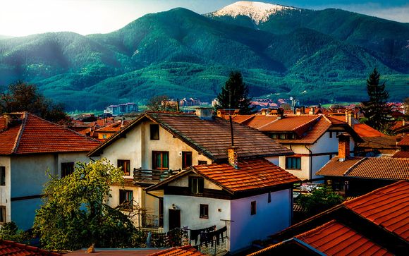 Pour aller plus loin 