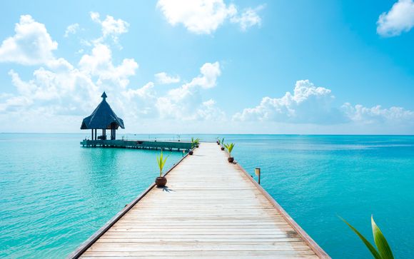 Canareef Resort Maldives 4*