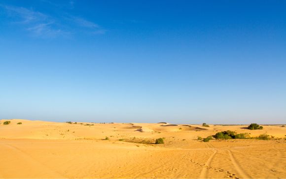 Zoom sur votre programme