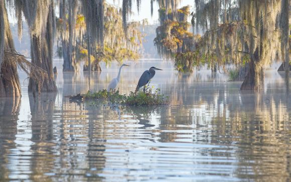 Zoom sur votre programme