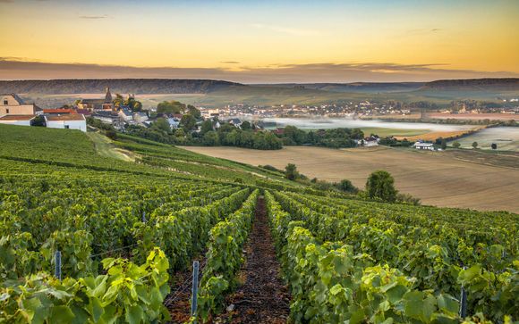 Rendez-vous ... dans le Sud de Reims