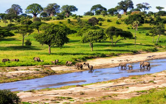 Zoom sur votre programme