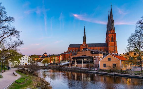 Zoom sur votre programme