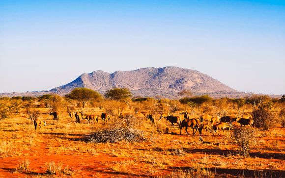 Welkom in ... Kenia!