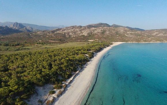 Mettez une option sur l