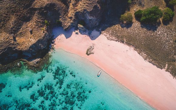 Zoom sur votre programme