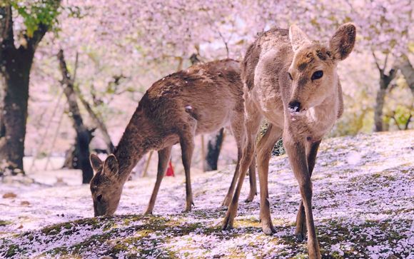 Zoom sur votre programme