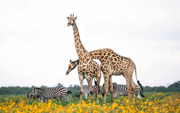 Zoom sur votre programme