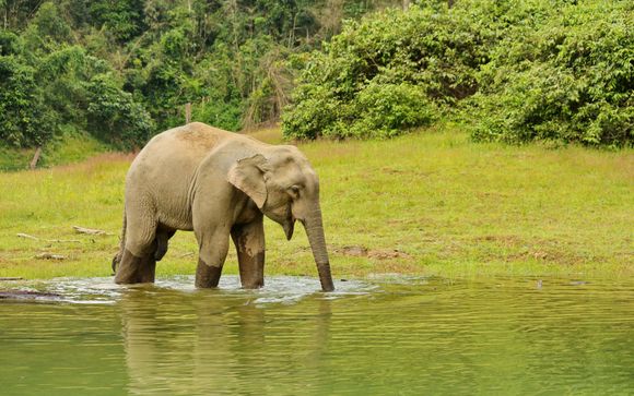 Mettez une option sur l