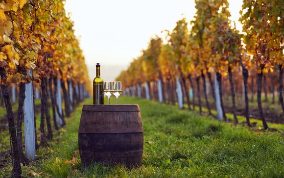 Votre option incluse pour plus d