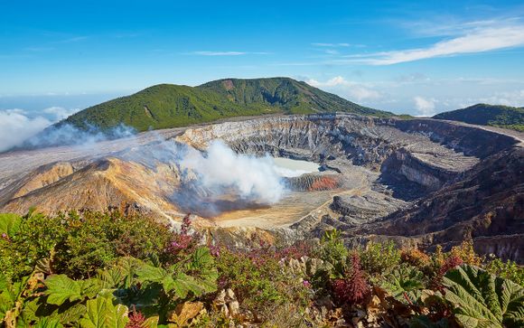 Mettez une option sur l